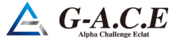 G-A.C.E 株式会社