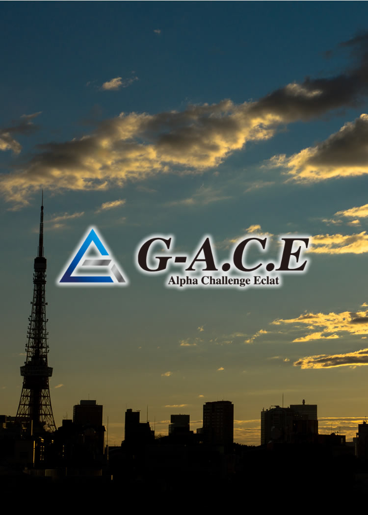 G-A.C.E 株式会社／人材サービス、家電修理・販売等のメーカー委託業、リフォーム・ハウスクリーニング、住設機器等の取替／東京都江戸川区